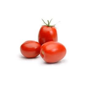 Red Tomato / Tamatar